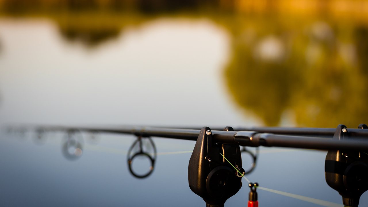 Carp fishing