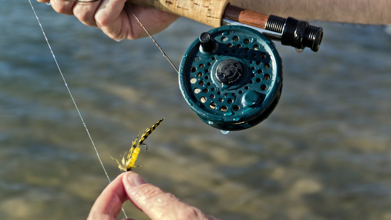 Game and fly fishing