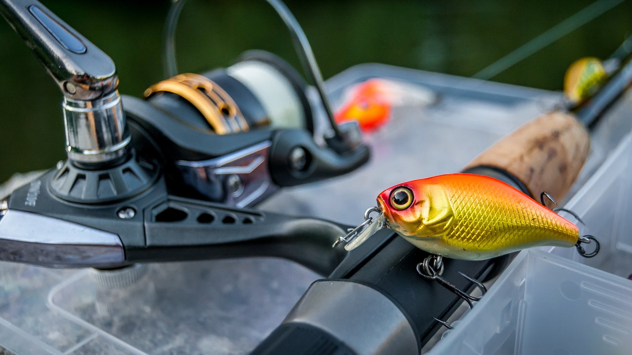 Predator and lure fishing