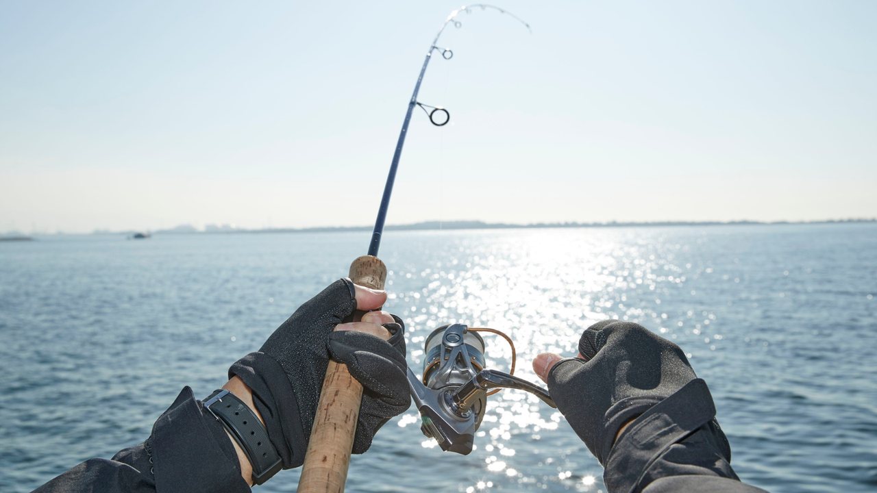 Sea fishing