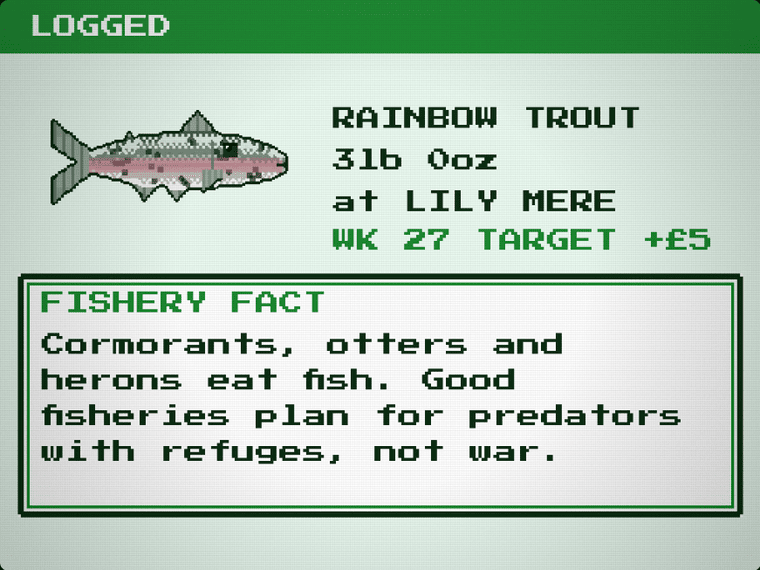 World of Fish: a logged rainbow trout with a fishery fact about cormorants, otters and herons
